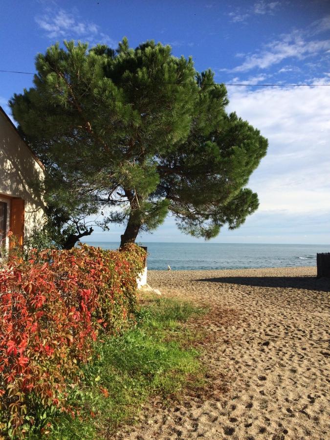 D'hotes Cote Vermeille *