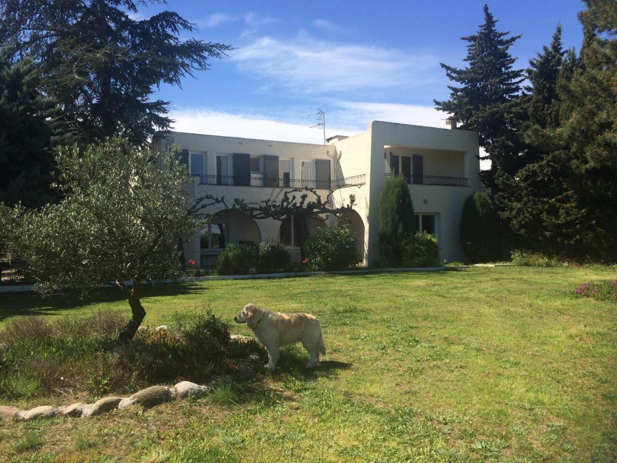 Bed & Breakfast D'hotes Cote Vermeille Argeles-sur-Mer