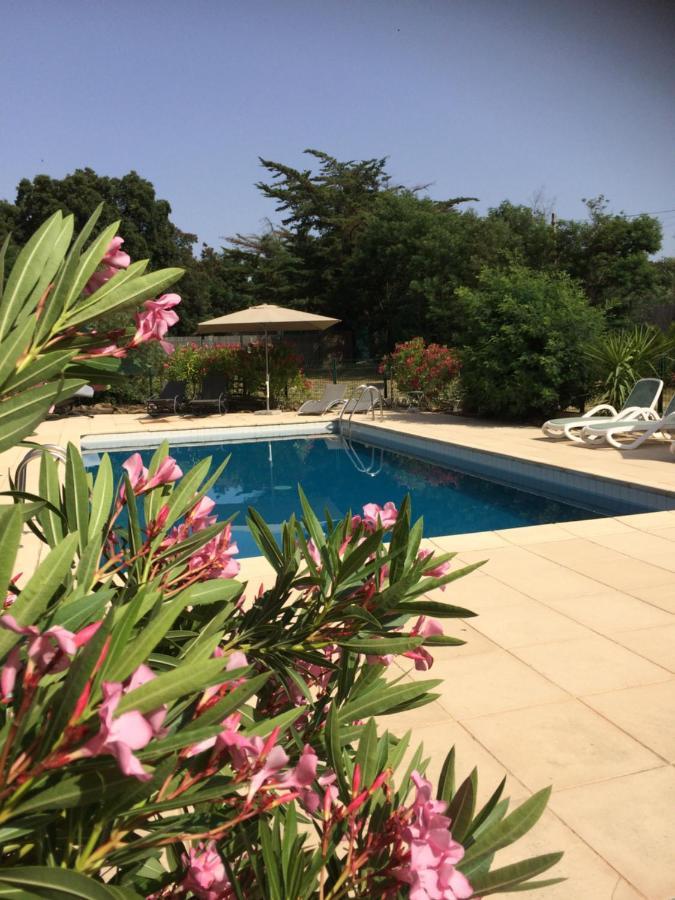 D'hotes Cote Vermeille *
