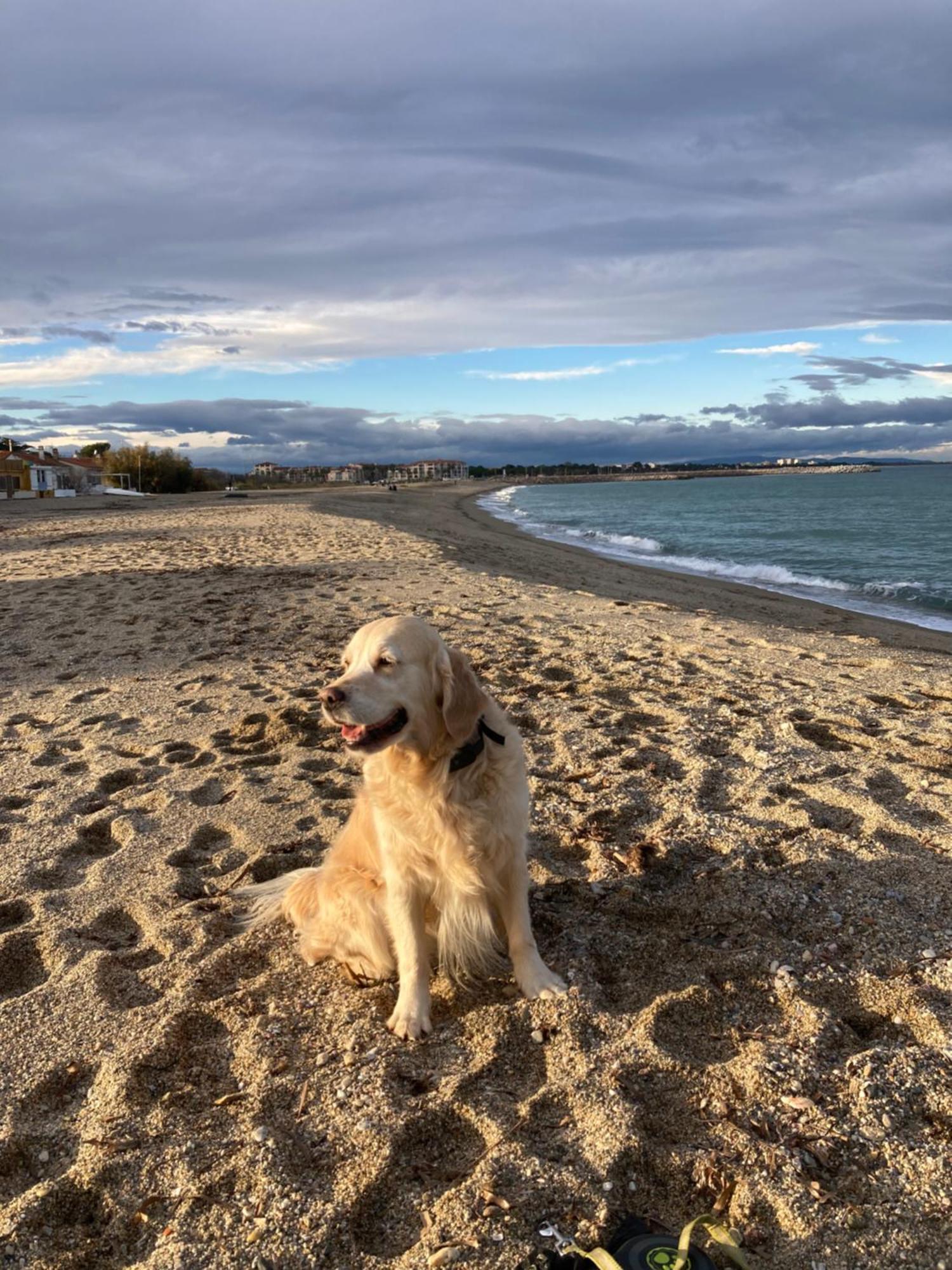 Côte Vermeille * Argelès-sur-Mer